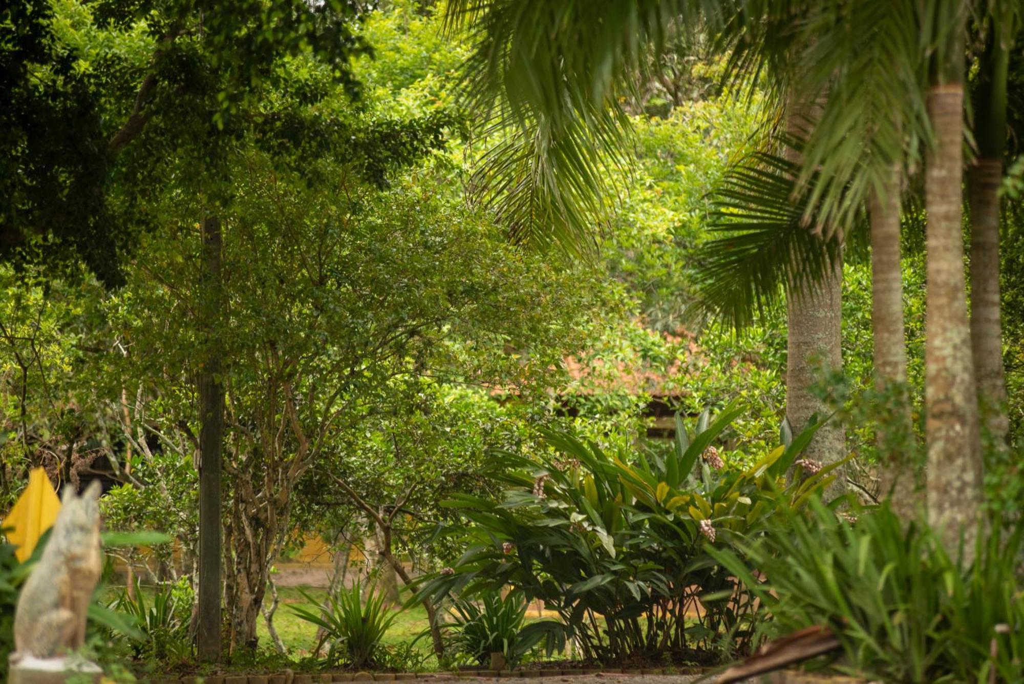沙卡拉里约左道酒店 Florianópolis 外观 照片